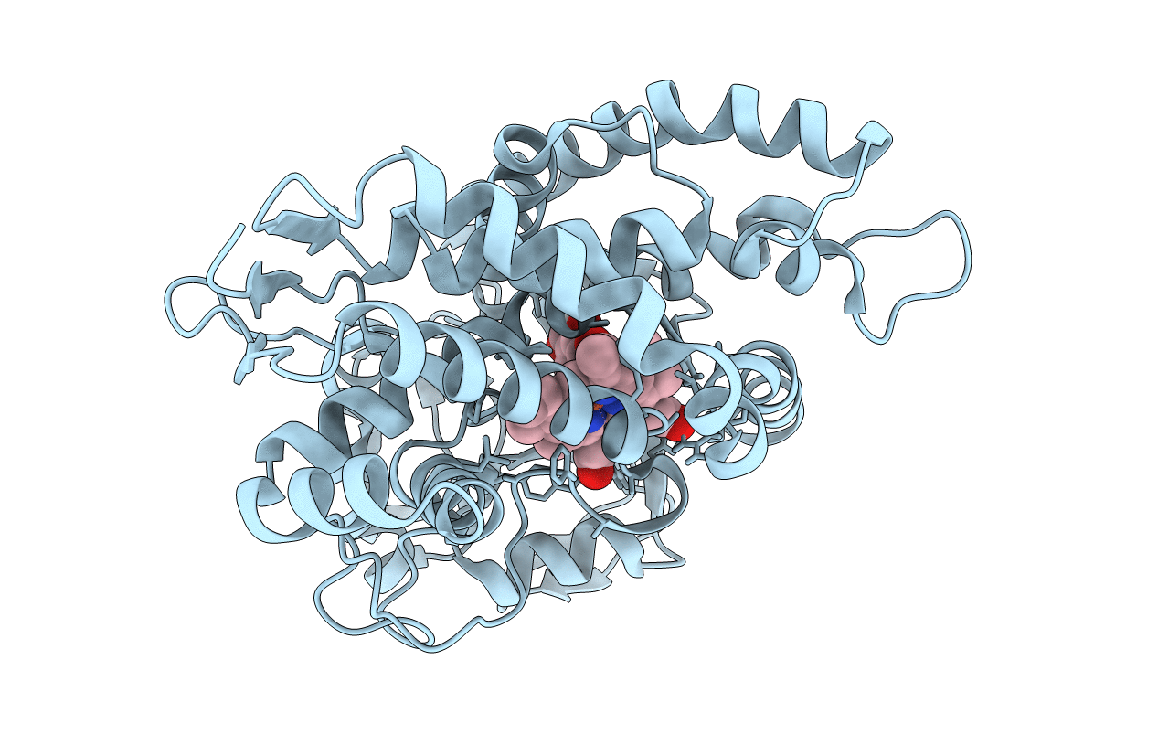 6YCP image