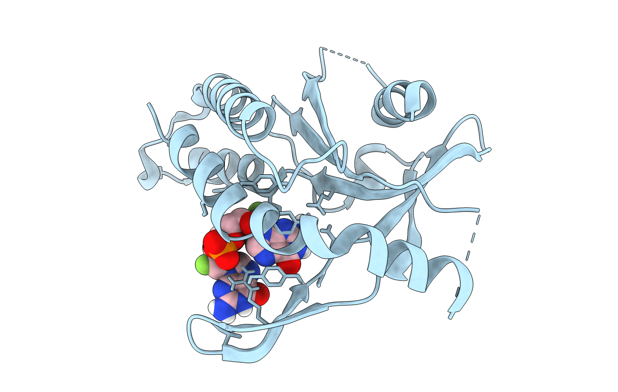 6YDB image