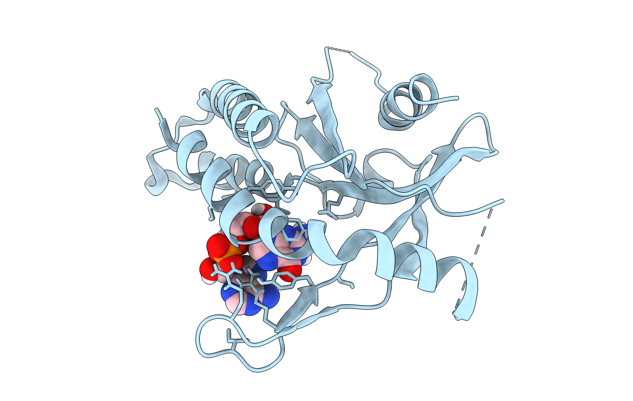 6YDZ image