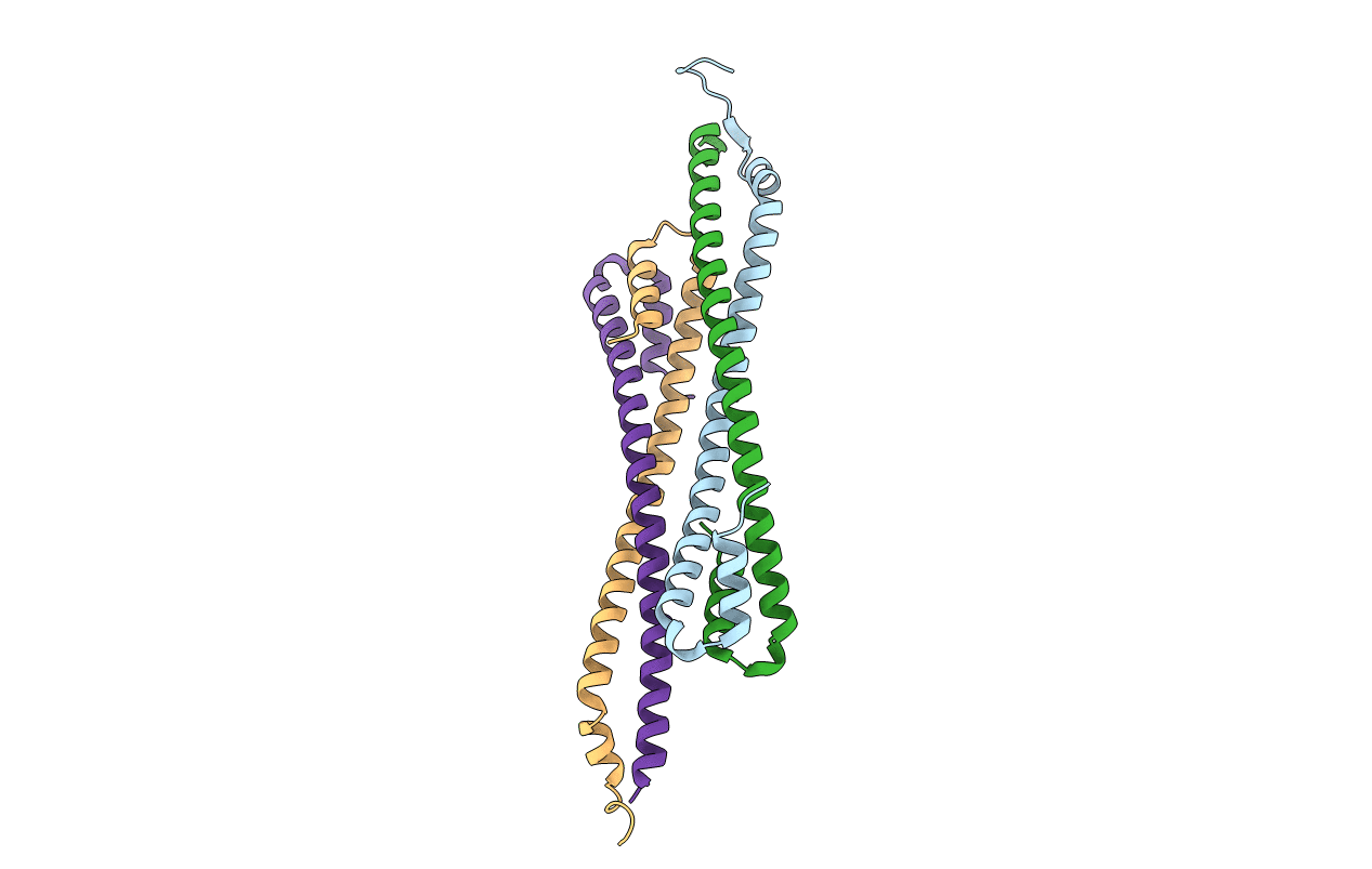 6YF5 image