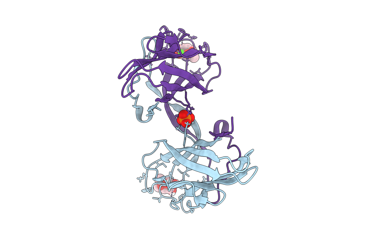 6YF6 image