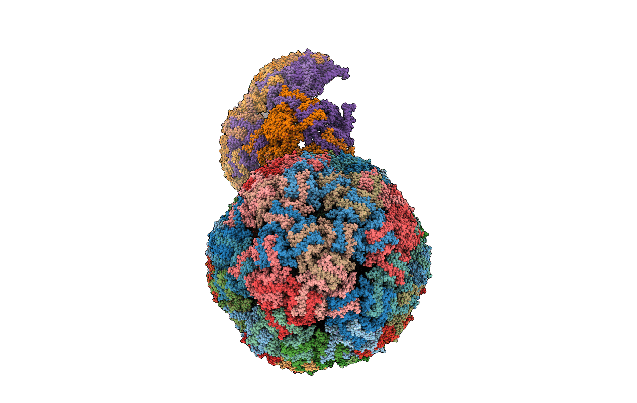6YF7 image