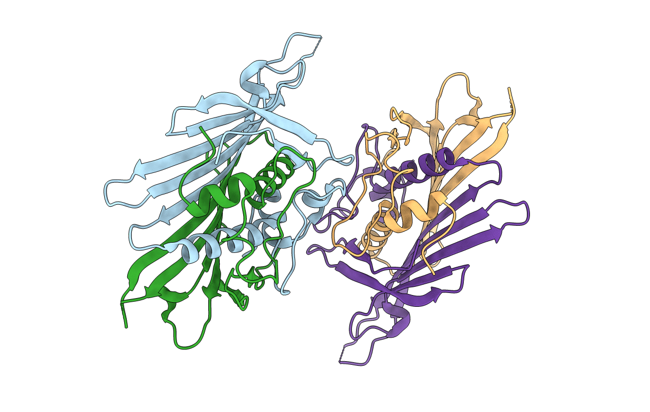 6YFI image