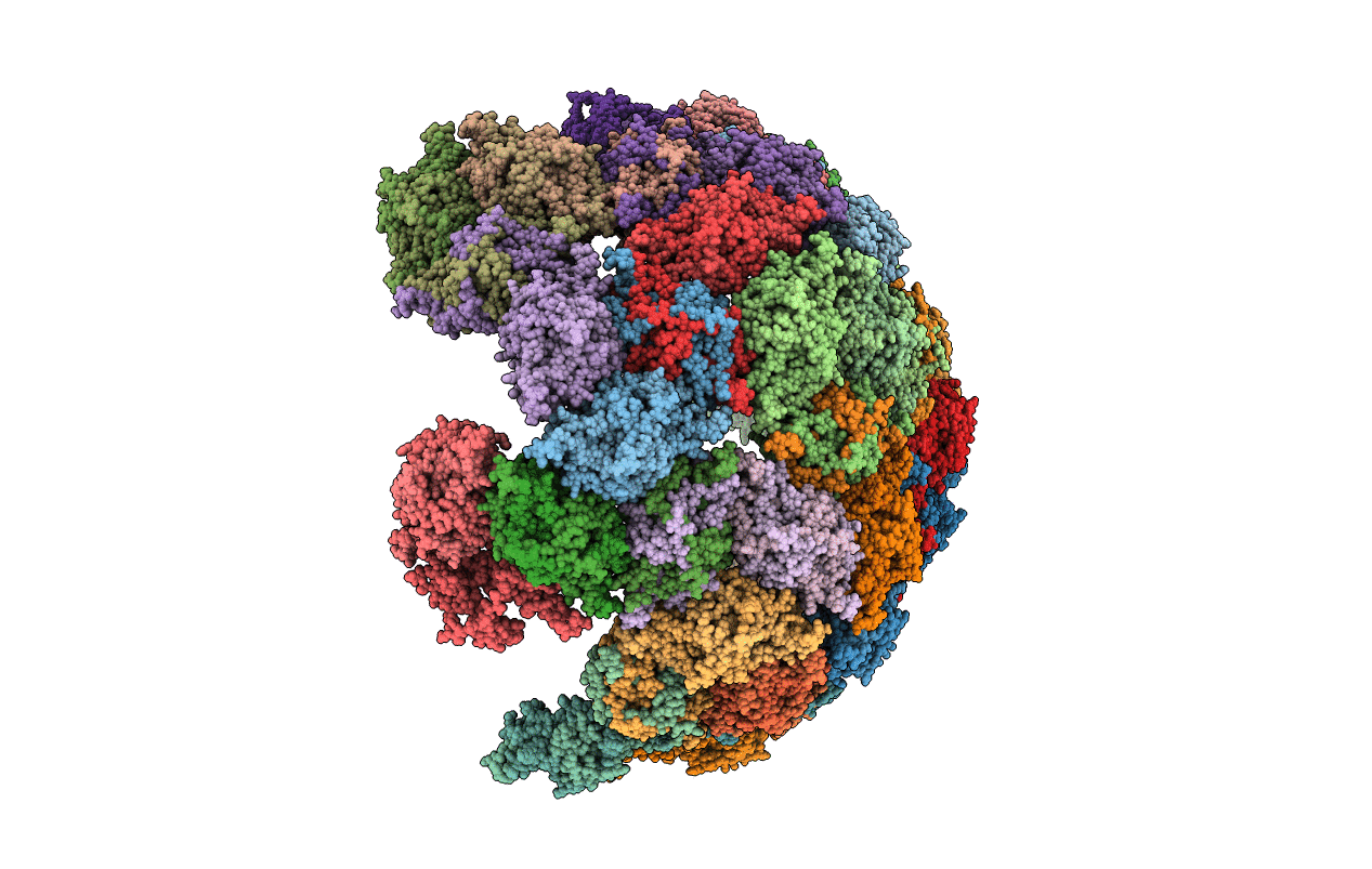 6YFP image