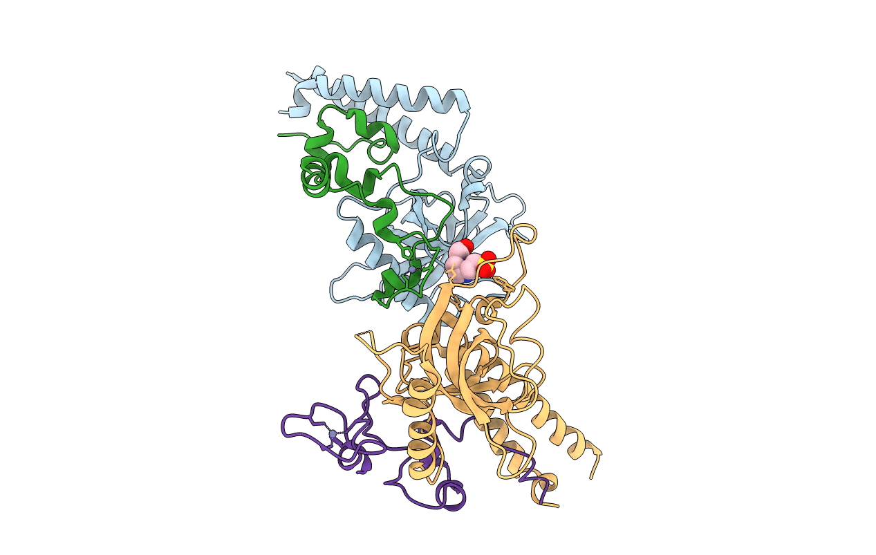 6YFV image