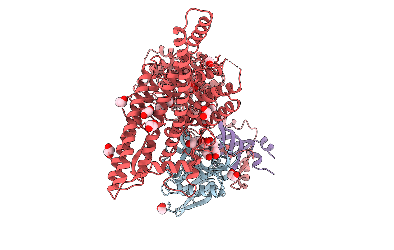 6YGA image