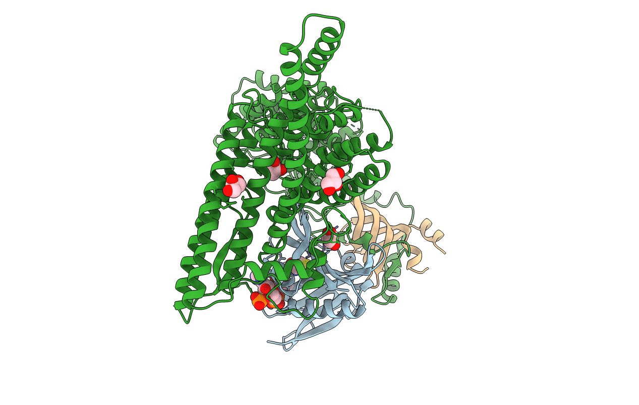 6YGC image