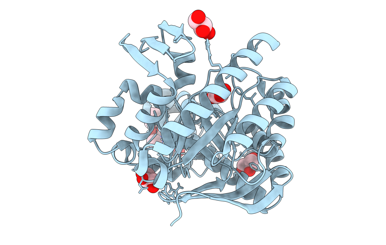 6YGV image