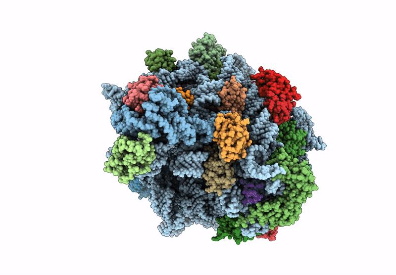 6YHS image