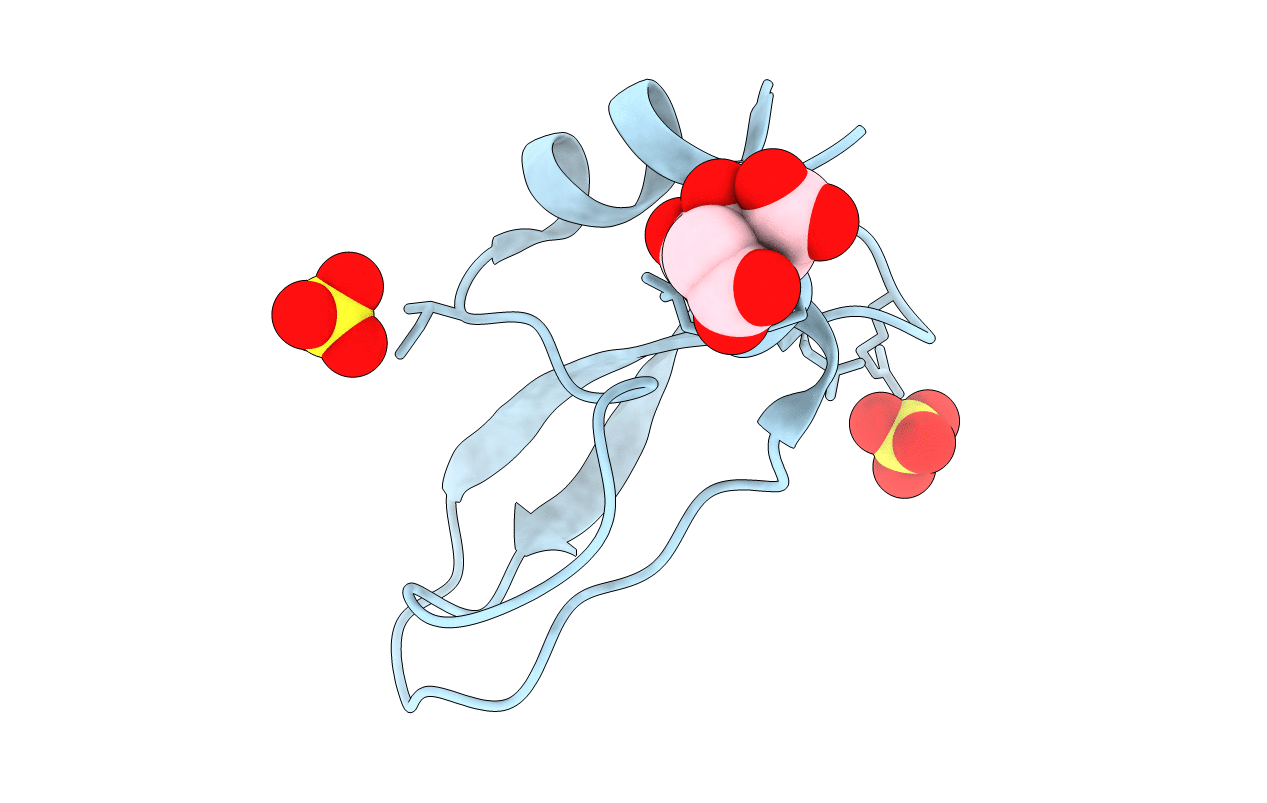 6YHT image