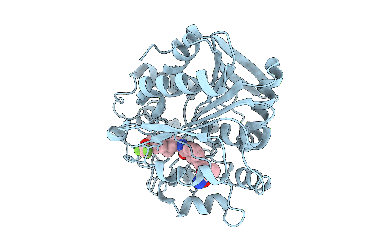 6YL4 image