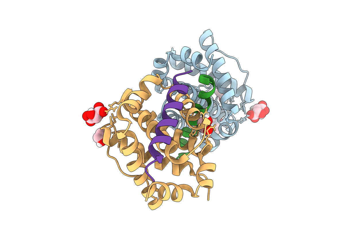 6YLD image