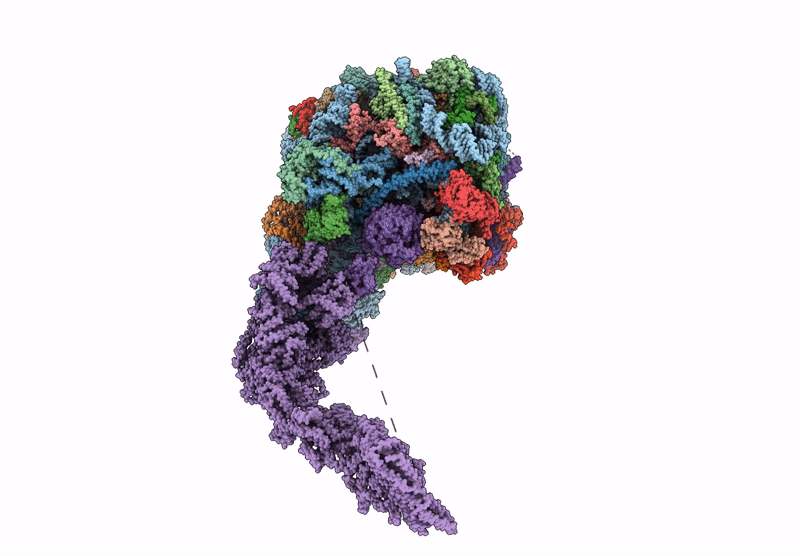 6YLH image