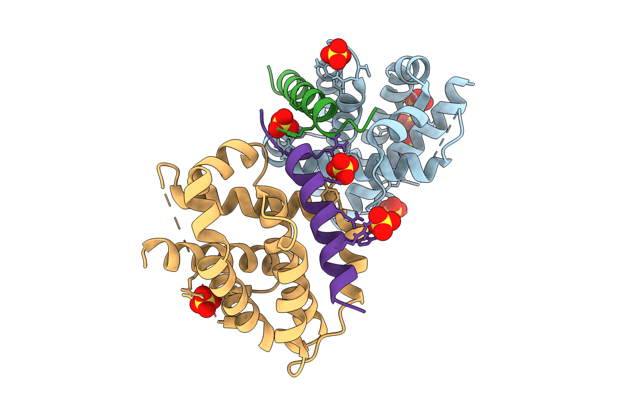 6YLI image