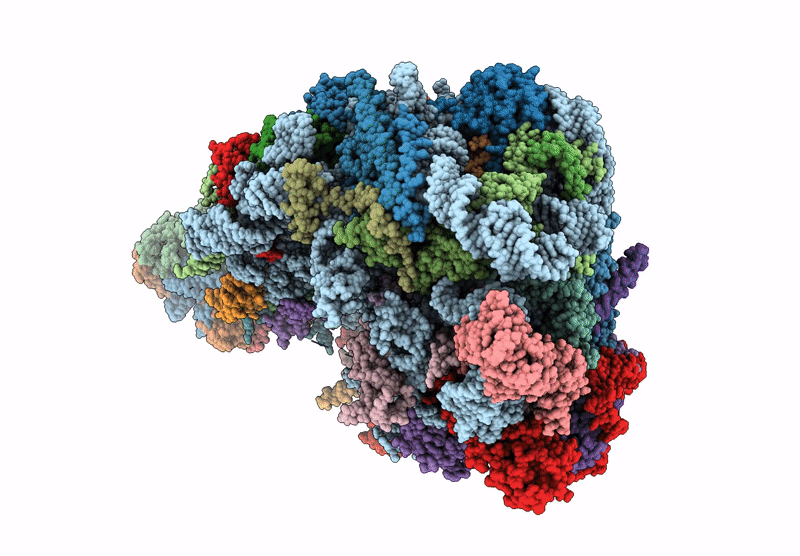 6YLX image