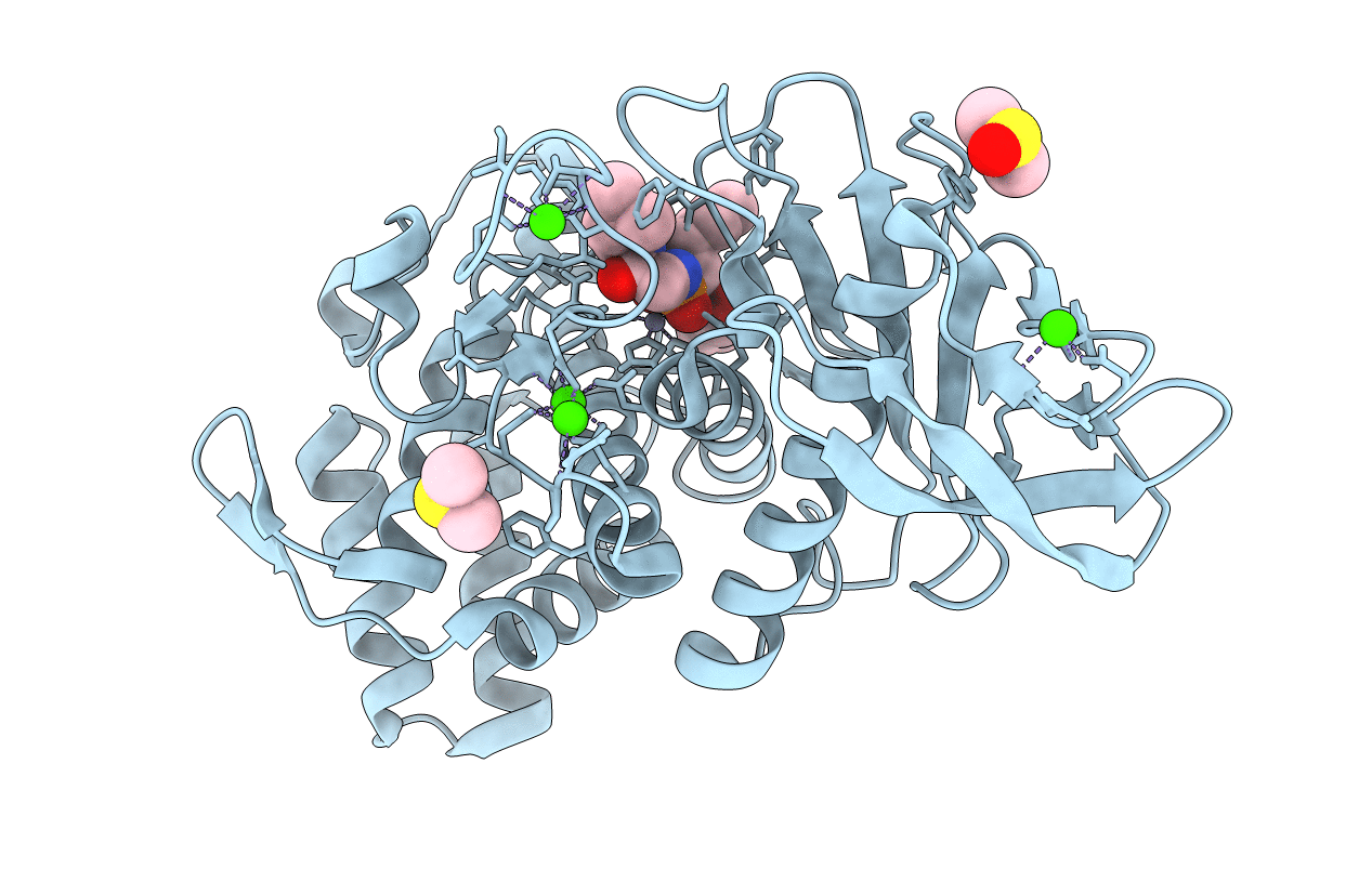 6YMR image