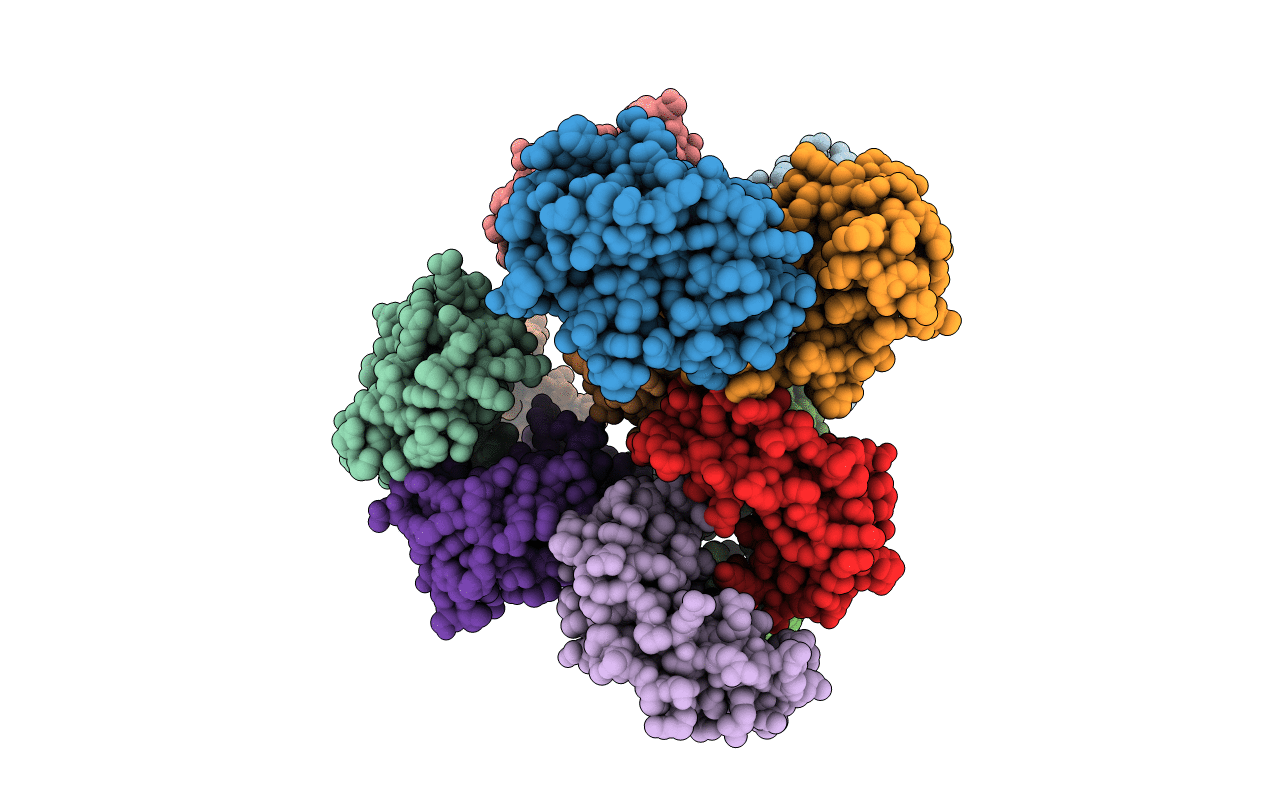 6YMT image