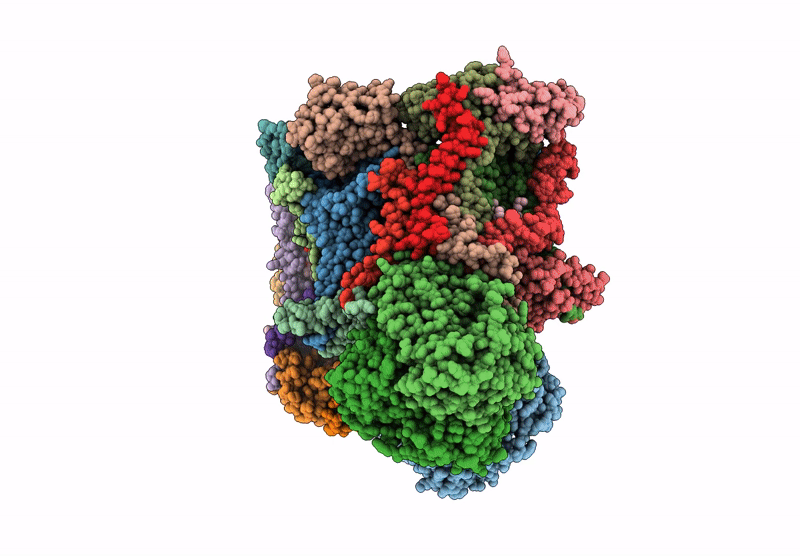 6YMX image