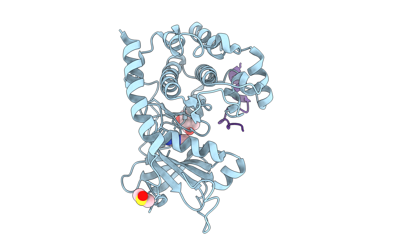6YNR image