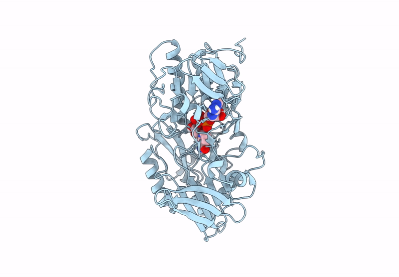 6YNV image
