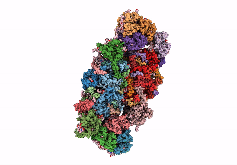 6YP7 image