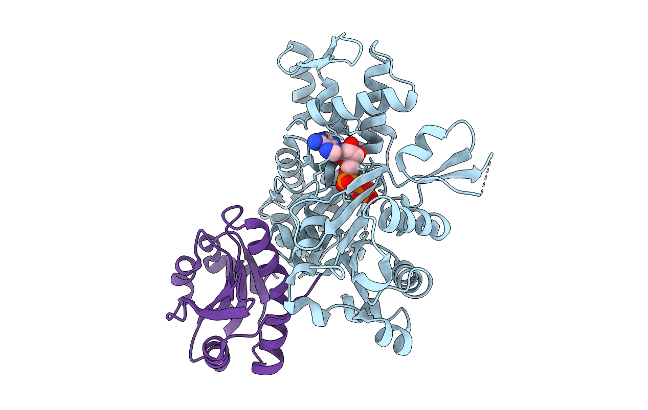 6YP9 image