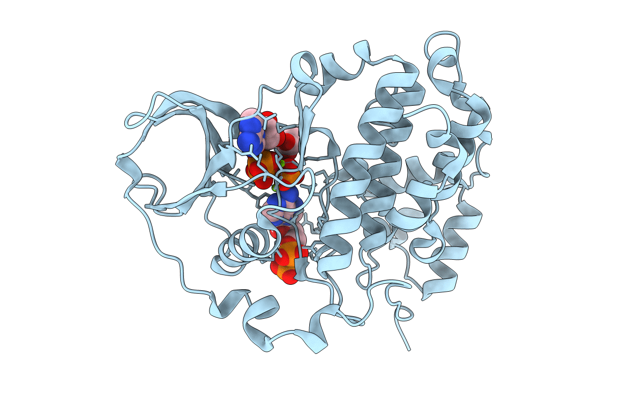 6YPN image