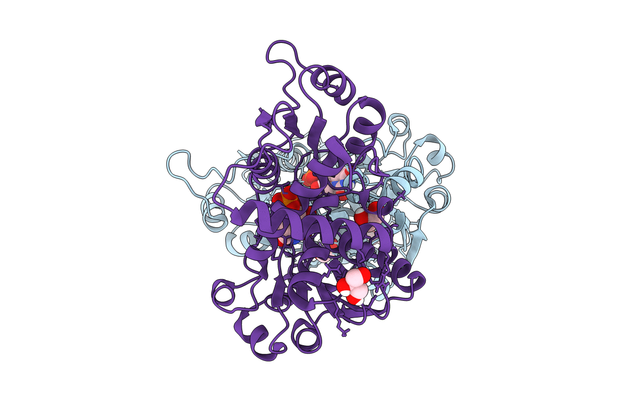 6YPO image