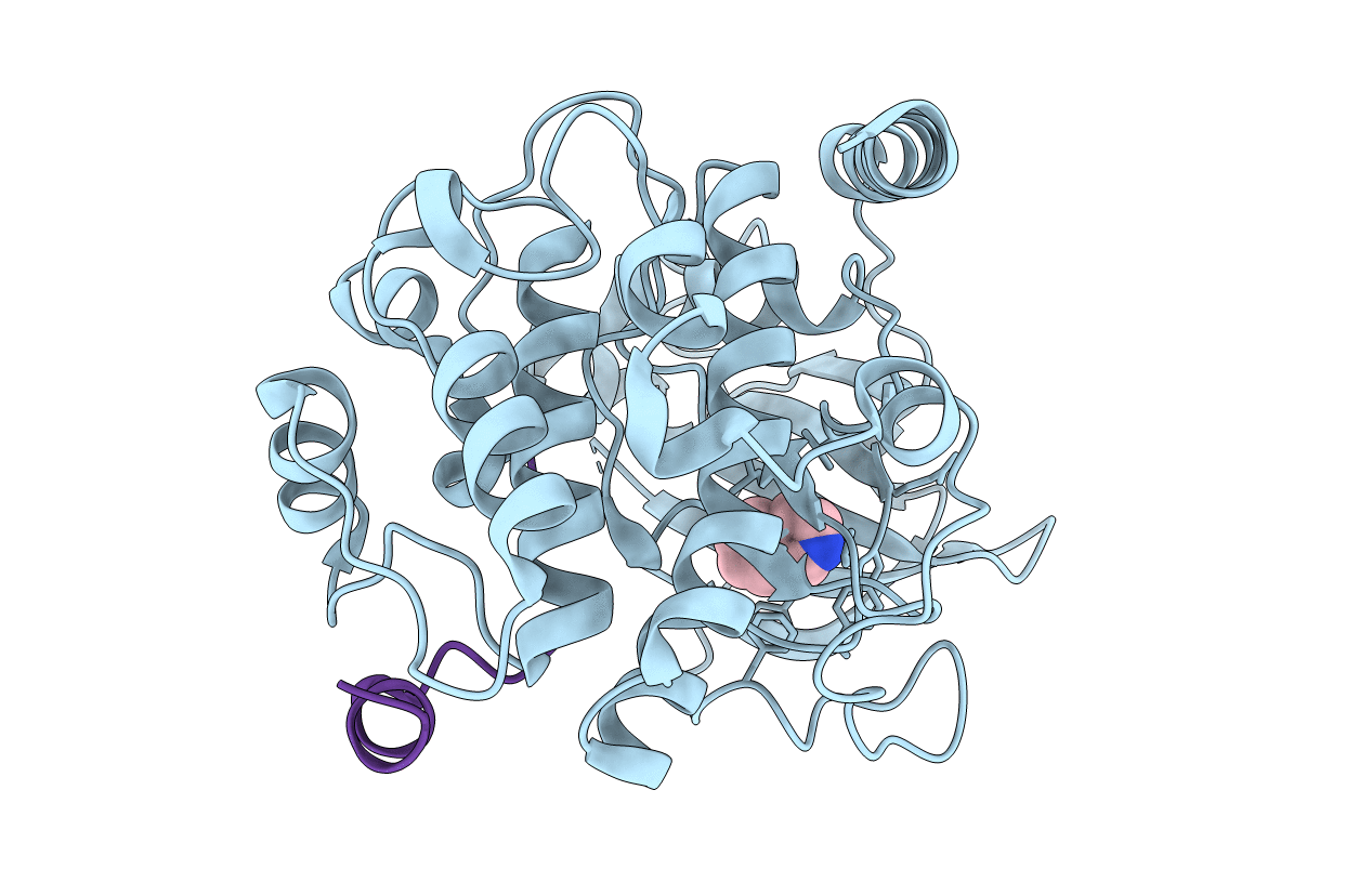 6YPP image