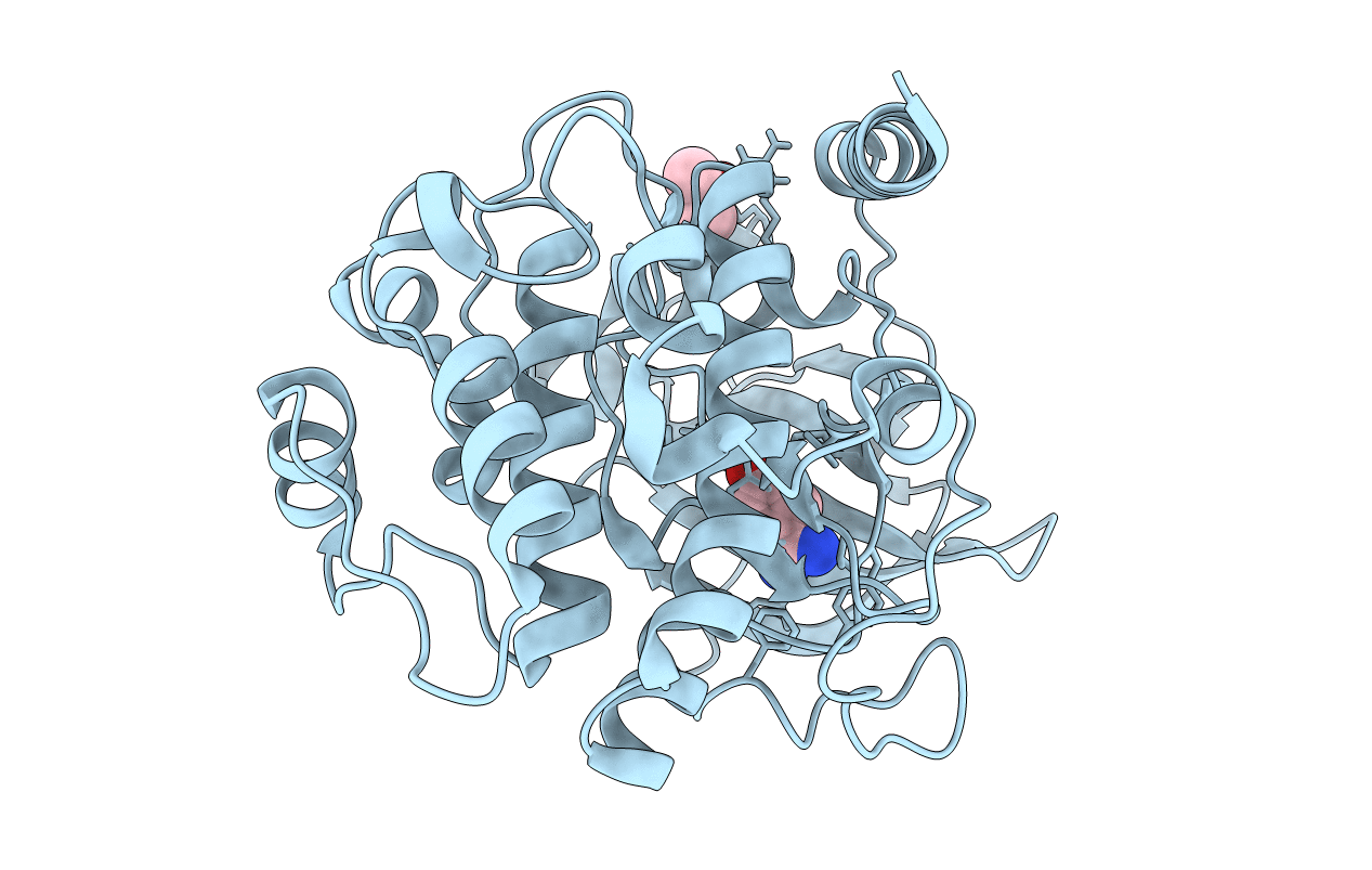 6YPS image