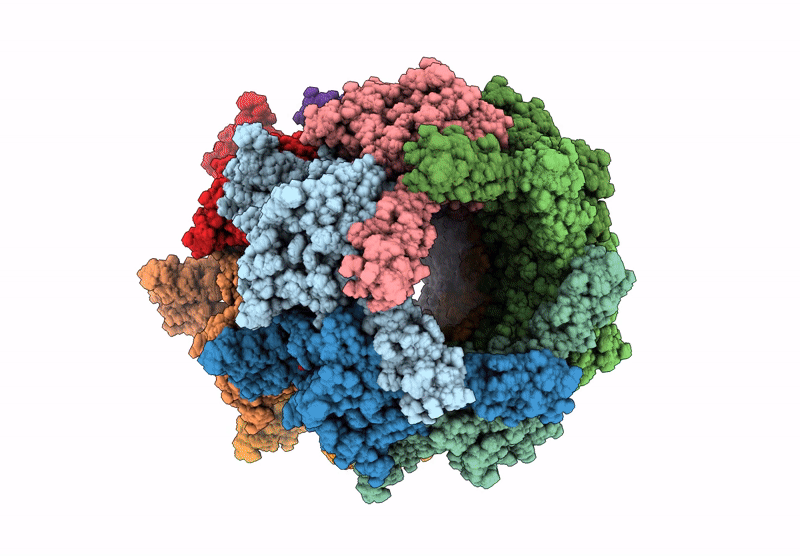 6YQ5 image
