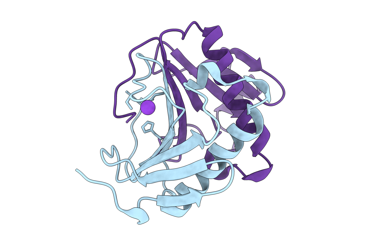 6YQD image