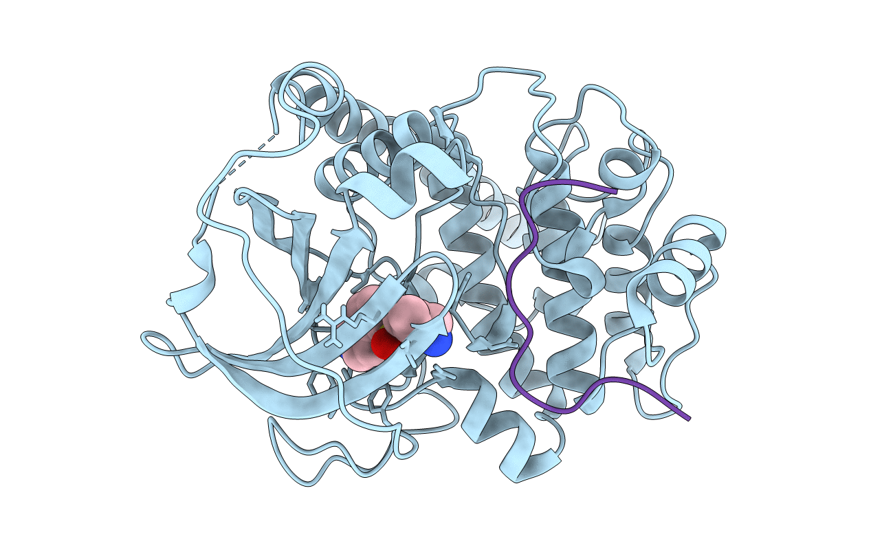 6YQJ image