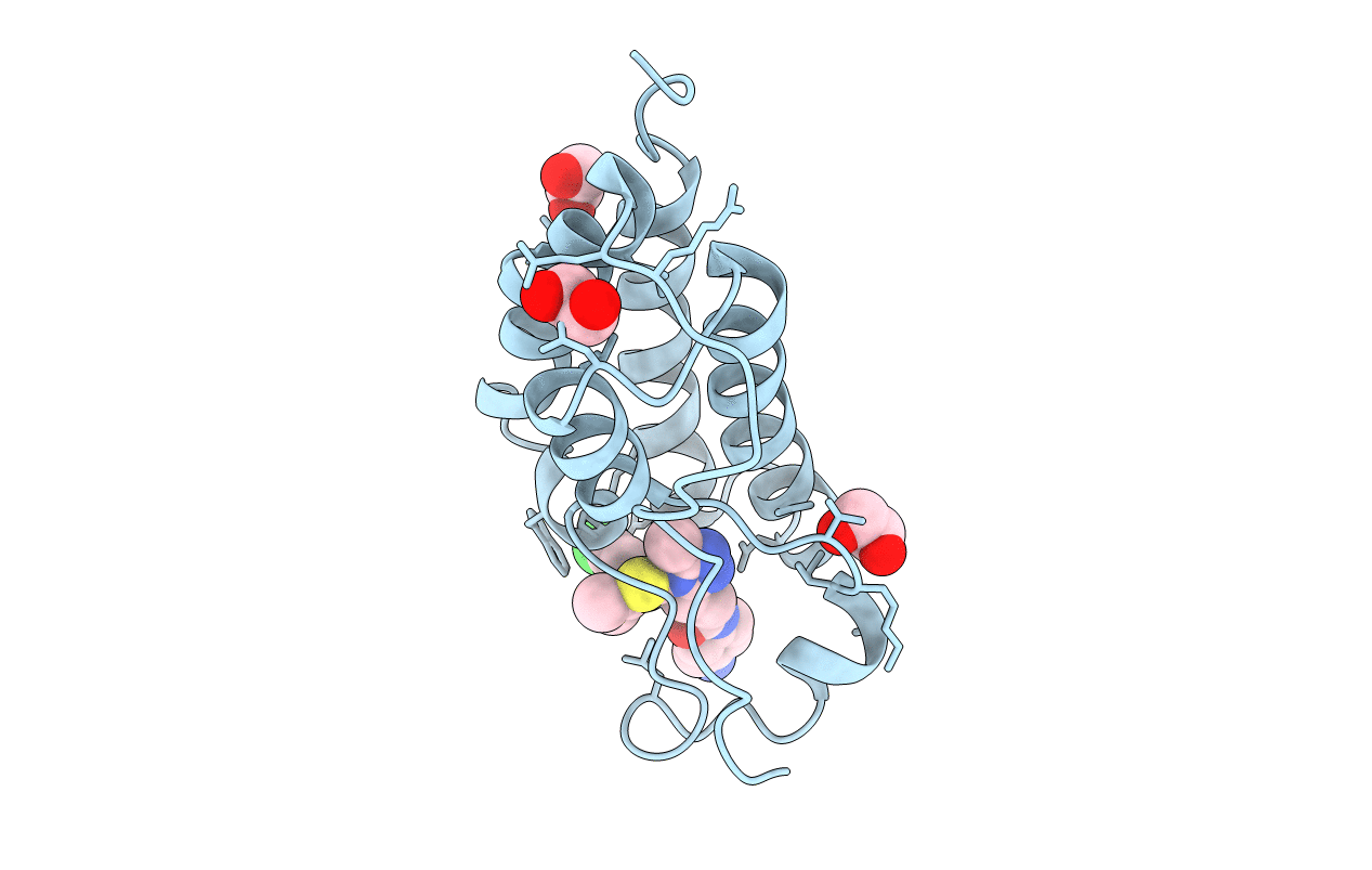 6YQO image