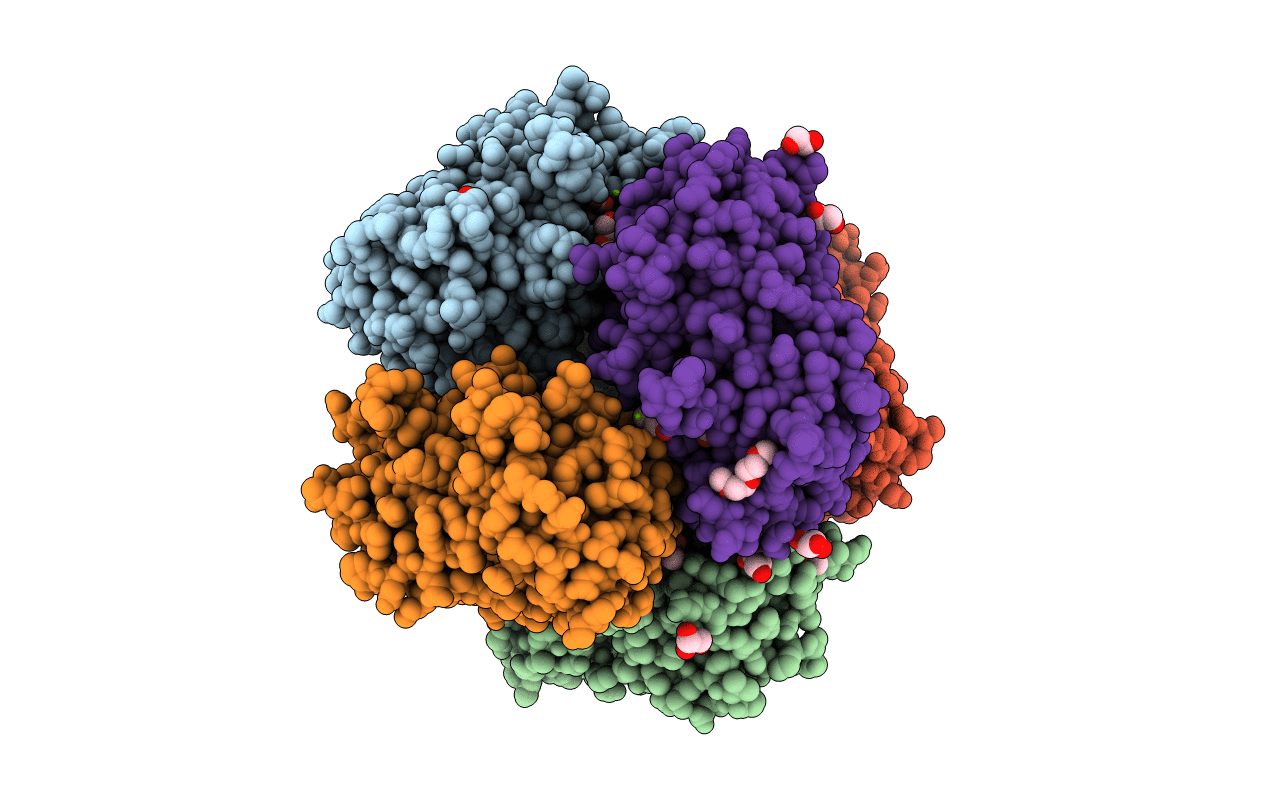 6YRC image