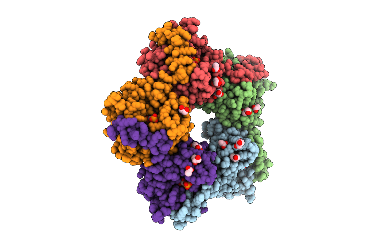 6YRT image