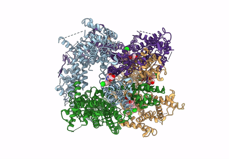 6YSN image