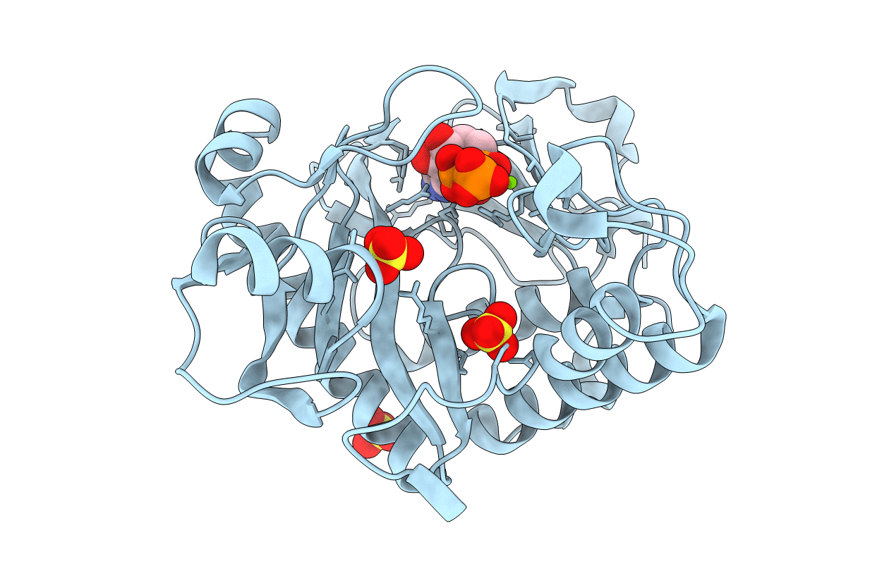 6YX3 image