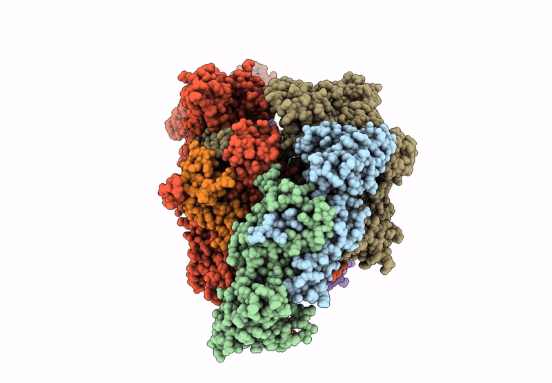 6YXU image