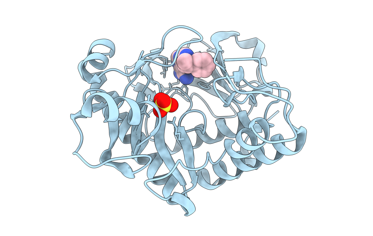 6YYB image