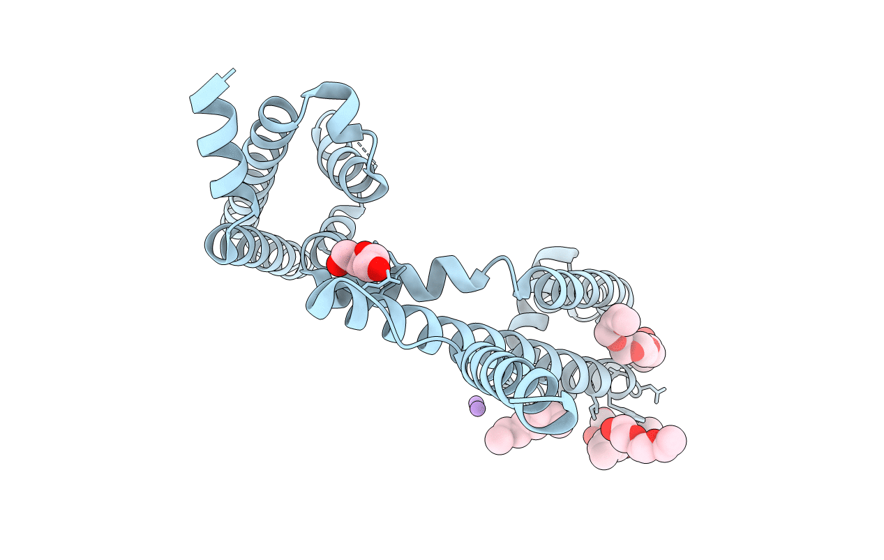 6YZ2 image