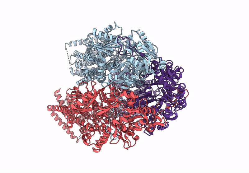 6Z12 image