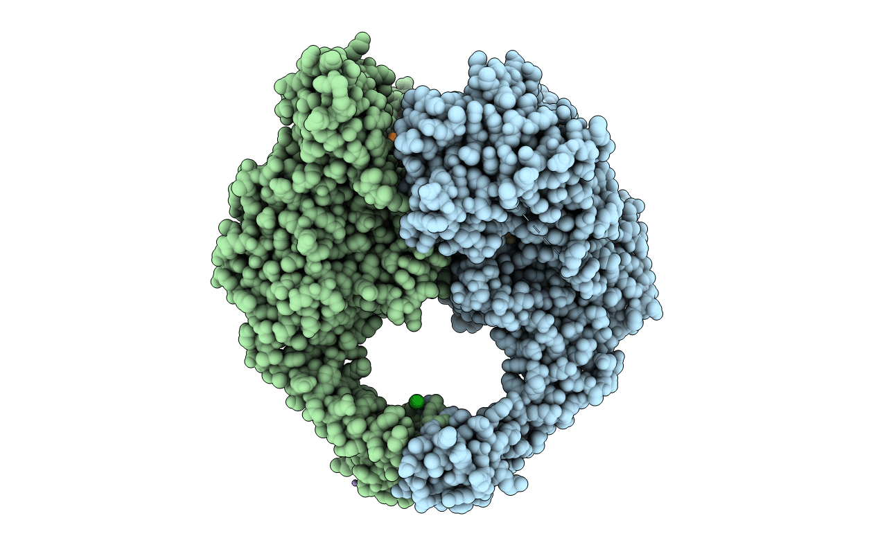 6Z1A image