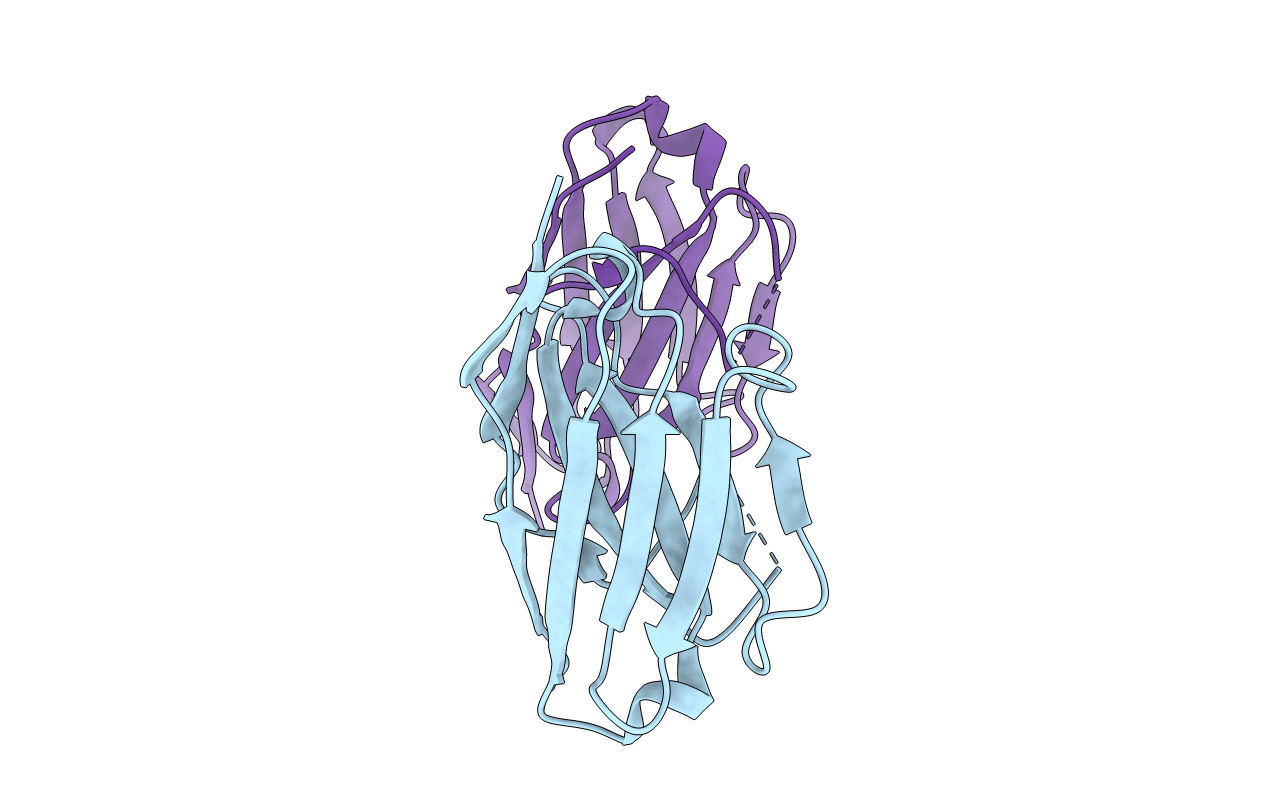 6Z1Z image