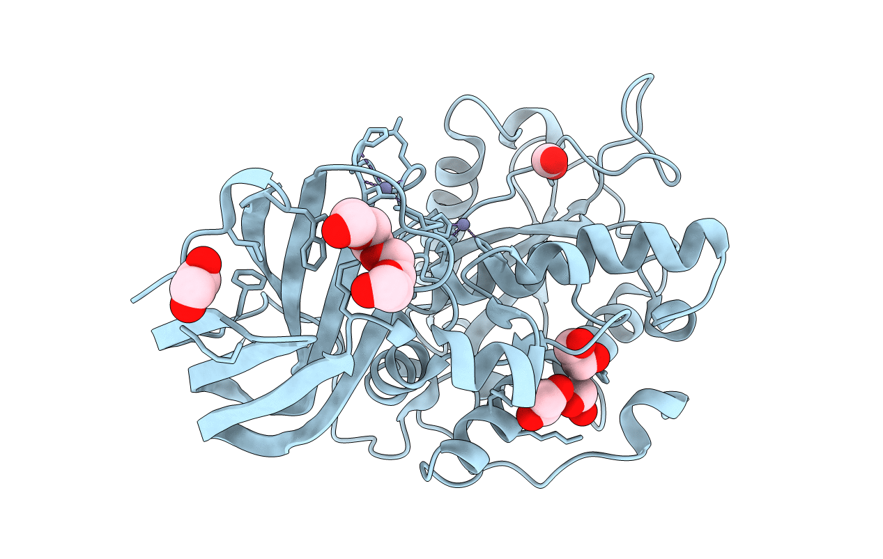 6Z2D image