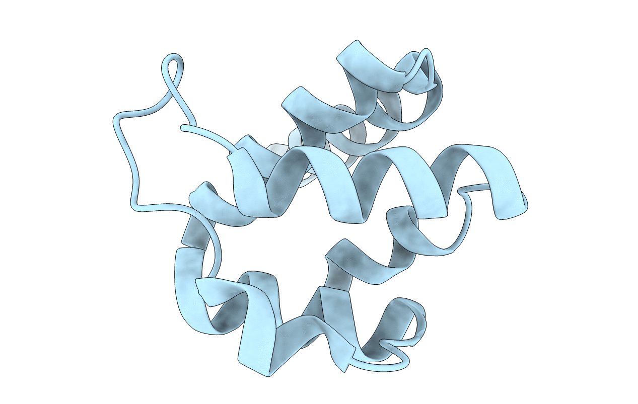 6Z2G image