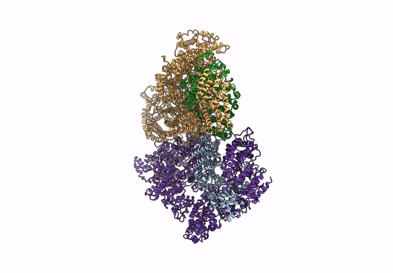 6Z2X image
