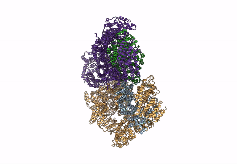 6Z3A image