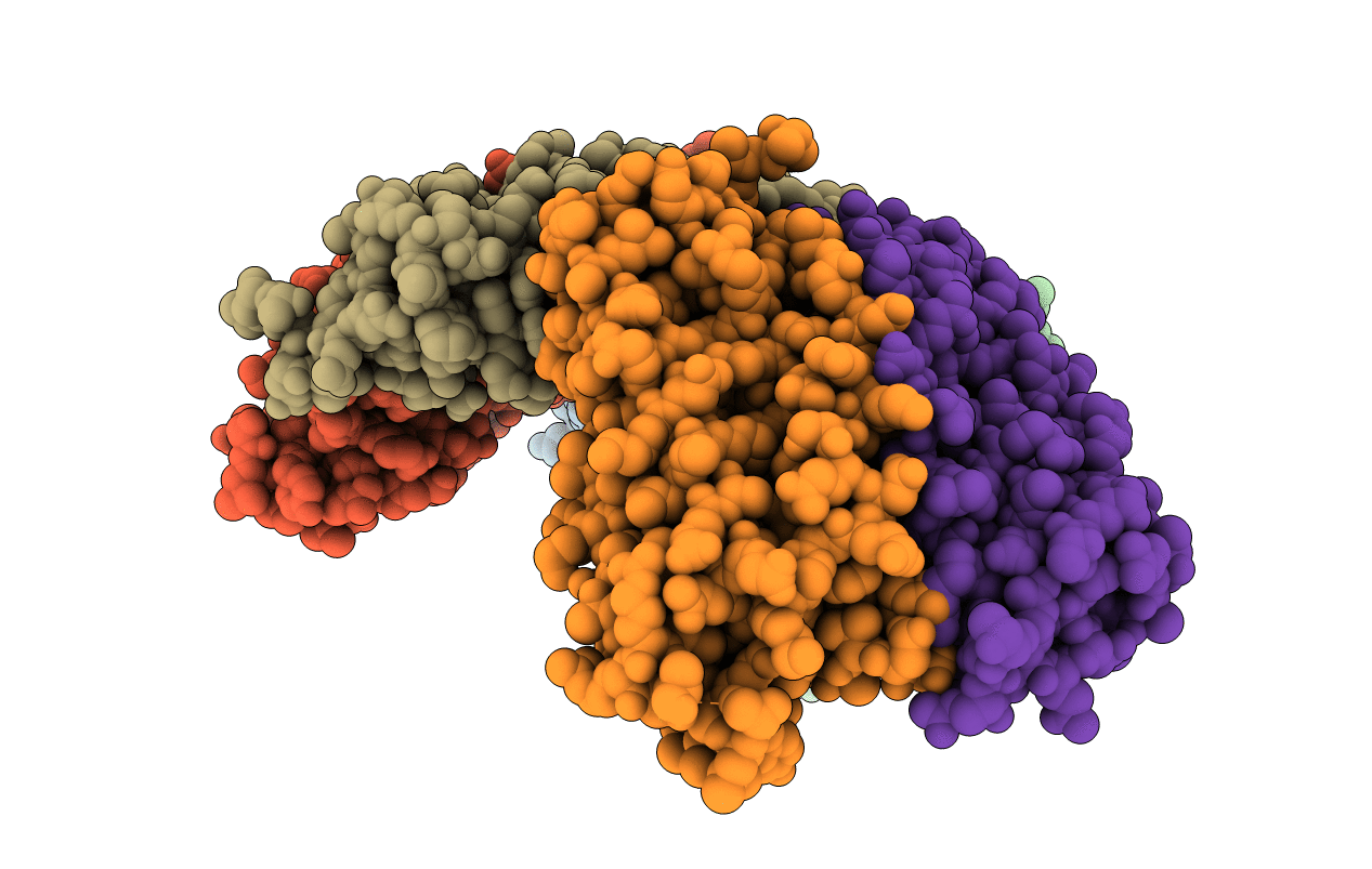 6Z3D image
