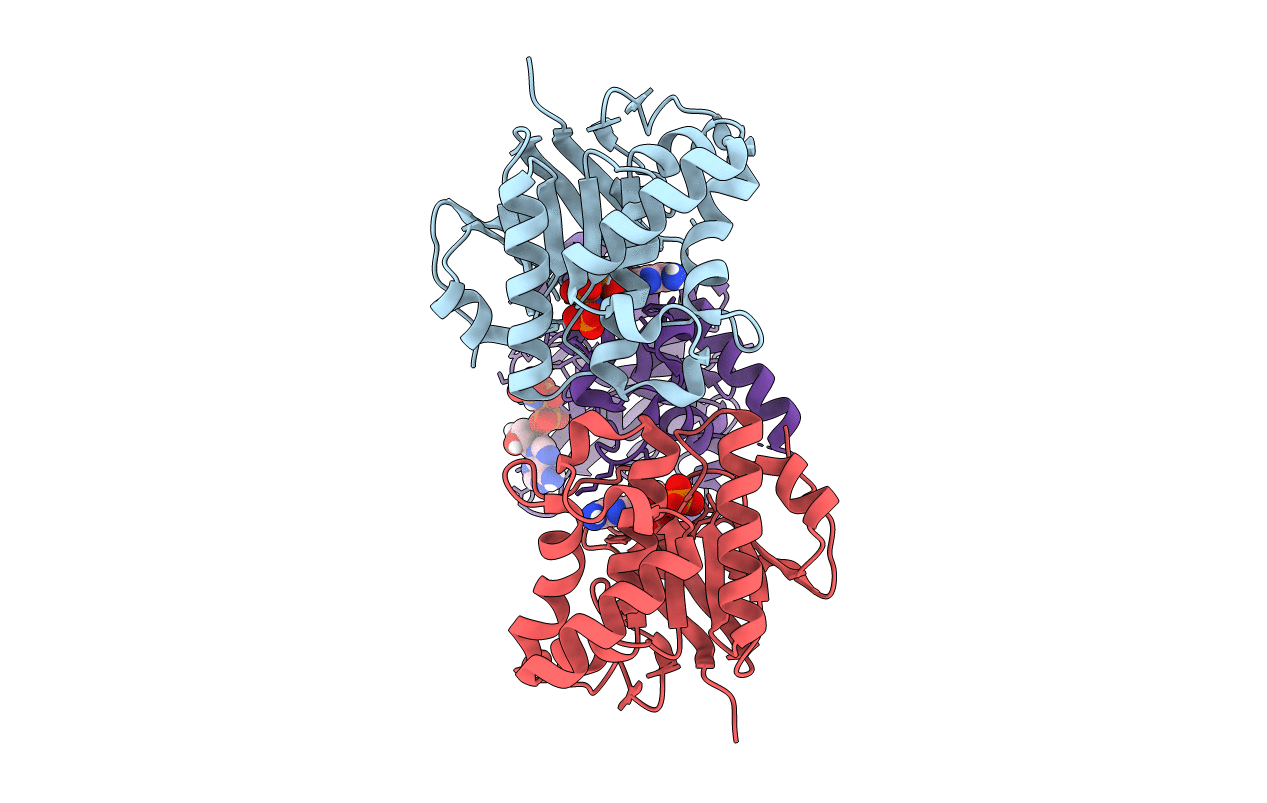 6Z67 image